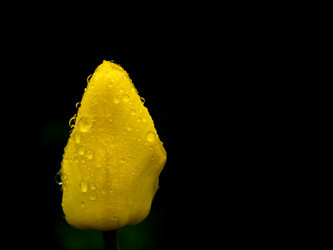 Similar image 21260948