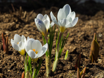 Similar image 21261880