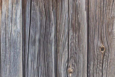 Similar image 21263784