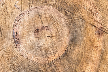 Similar image 21263786