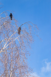 Similar image 21263788