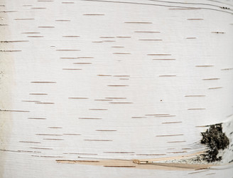 Similar image 21265620