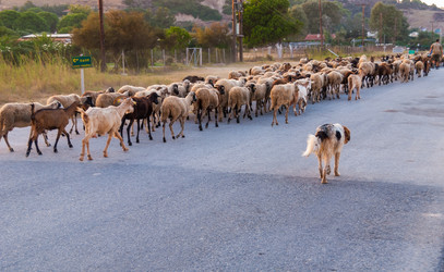 Similar image 21260186