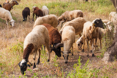 Similar image 21260187