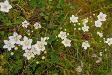 Similar image 21260366