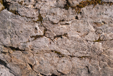 Similar image 21260370