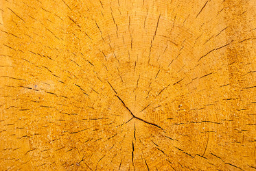 Similar image 21260371