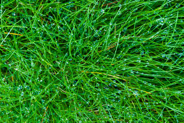 Similar image 21260643