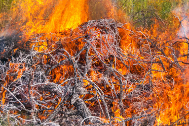 Similar image 21260647