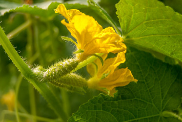 Similar image 21260648