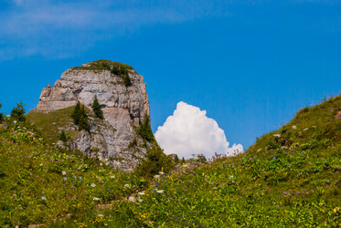 Similar image 21260651