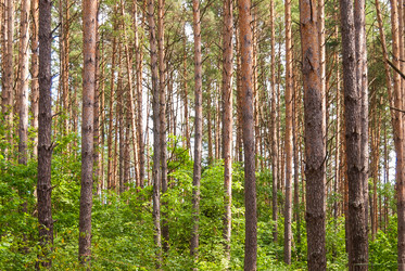 Similar image 21260950