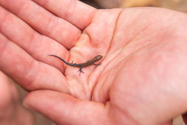 Similar image 21260951