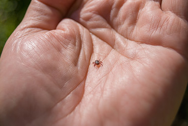 Similar image 21260953