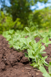 Similar image 21261882