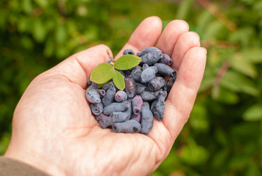 Similar image 21263796