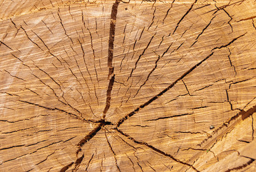 Similar image 21264627