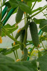 Similar image 21264628