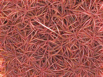 Similar image 21265022