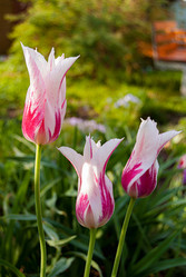 Similar image 21266574