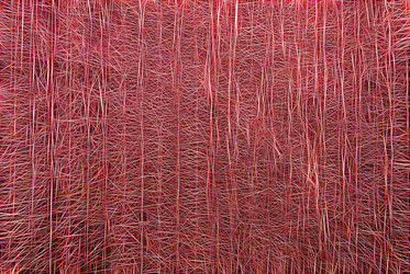 Similar image 21266869