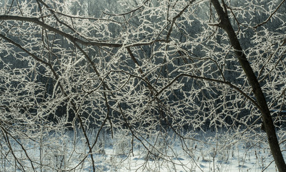 Similar image 21260189