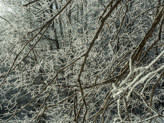 Similar image 21260372