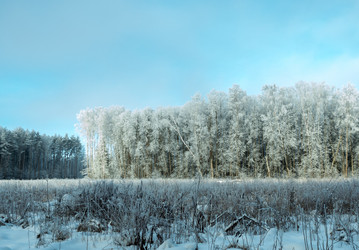 Similar image 21260377