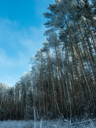 Similar image 21260656