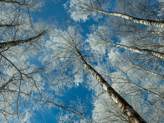 Similar image 21260663