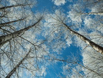 Similar image 21260664