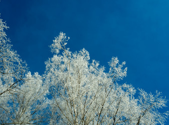 Similar image 21260665