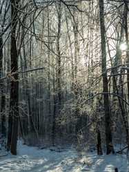 Similar image 21260668