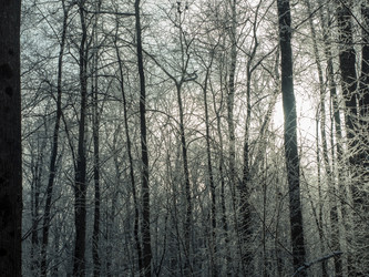 Similar image 21263806