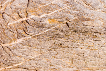 Similar image 21265024