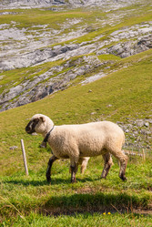 Similar image 21265025