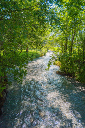 Similar image 21265635