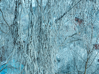 Similar image 21260392