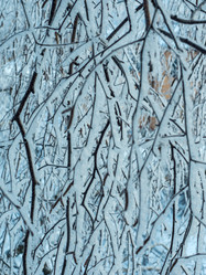 Similar image 21260674