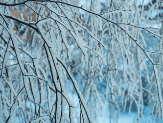 Similar image 21260676