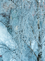 Similar image 21260677