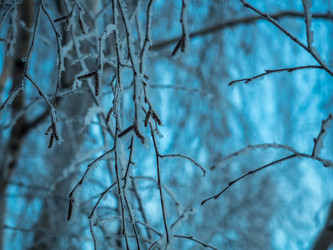 Similar image 21260678