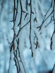 Similar image 21260680