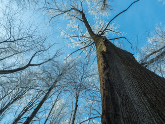 Similar image 21260685