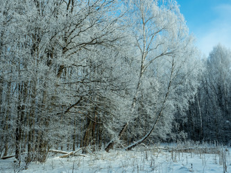 Similar image 21260687