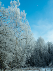 Similar image 21260688