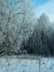 Similar image 21260961