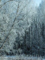 Similar image 21260962