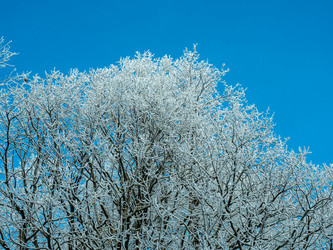 Similar image 21260963