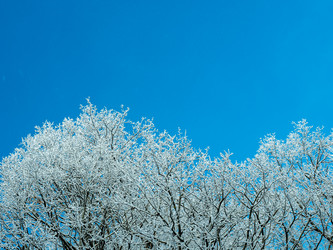 Similar image 21260965